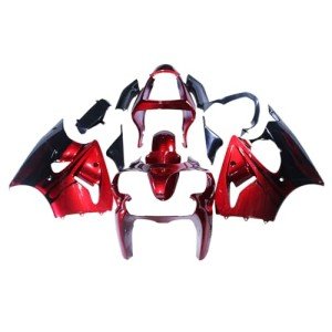 Kawasaki ZX6R & ZZR600 Complete Body Kit