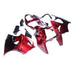 Kawasaki ZX6R & ZZR600 Complete Body Kit