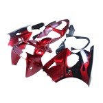 Kawasaki ZX6R & ZZR600 Complete Body Kit