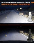 SEALIGHT H7 Ultra-Bright Dual Bulbs Pack of 2