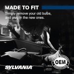 SYLVANIA H11 SilverStar Halogen Headlight Bulbs (2 Pack)