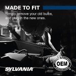 SYLVANIA H11 SilverStar Halogen Headlight Bulbs (2 Pack)