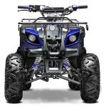 125cc Seangles ATV Quad with Reverse and Lights