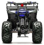 125cc Seangles ATV Quad with Reverse and Lights