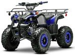 125cc Seangles ATV Quad with Reverse and Lights