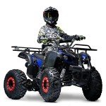 125cc Seangles ATV Quad with Reverse and Lights
