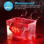 12V Submersible Square LED Trailer Lights Set