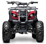 Seangles 125cc Red ATV with Big Off-Road Tires