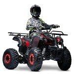 Seangles 125cc Red ATV with Big Off-Road Tires