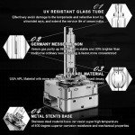 WinPower D1S 6000K HID Headlight Bulb Set