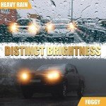 ALFU 10 Pack Yellow Turn Signal and Brake Bulbs