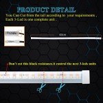 EverBright LED Strip Lights for Cars & Motorcycles