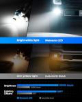 Marsauto H11 LED Fog Light Bulbs, 10,000 Lumens
