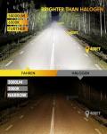 Ultra Bright H7 Fog Light Bulbs - 44000LM