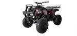 Red 200cc Full Size Adult ATV Quad