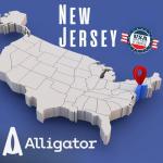 Chrysler Town & Country Headlight Assembly Replacement 2008-2016