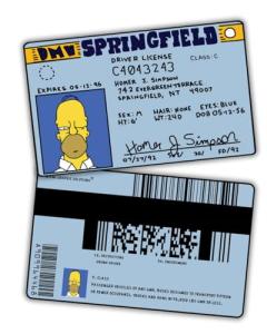 Homer Simpson Driver License ID Card | Funny Novelty