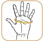 Genuine Cowhide Fingerless Leather Driving Gloves - Size Small