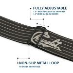 Chevy Seatbelt Buckle Belt, Multicolor, 1.5" Wide - 24-38