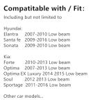 H11B Halogen Headlight Bulb 12V 55W - 2 Pack