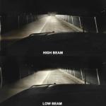 H11B Halogen Headlight Bulb 12V 55W - 2 Pack