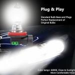 H11B Halogen Headlight Bulb 12V 55W - 2 Pack