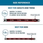 1969 Camaro Z/28 Emblem Seatbelt Belt - Red/Black/Gray/Silver