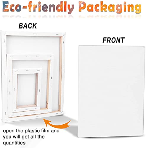 3 Pack Oil & Acrylic Painting Canvases