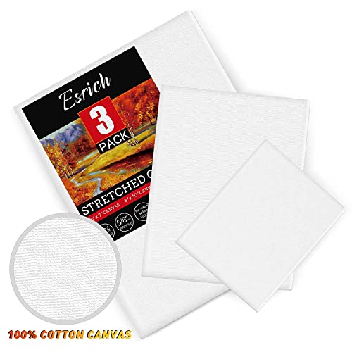 3 Pack Oil & Acrylic Painting Canvases