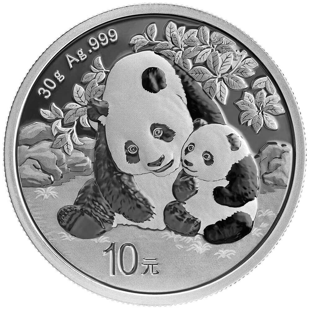 2024 Chinese Panda 10 Yuan Silver Coin