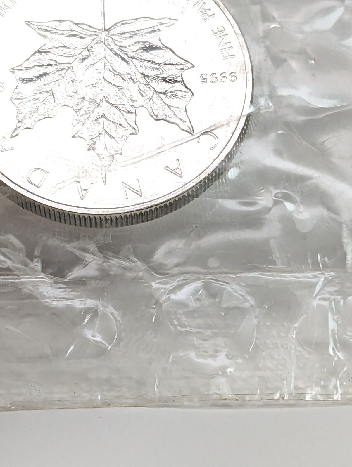 2005 1 oz Palladium Canadian Maple Leaf - $50