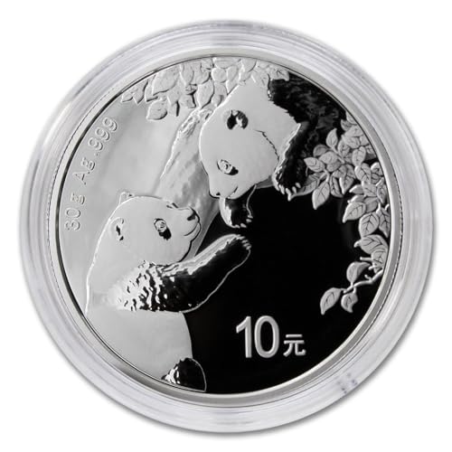 2023 Silver Chinese Panda Coin BU with COA ¥10 Yuan