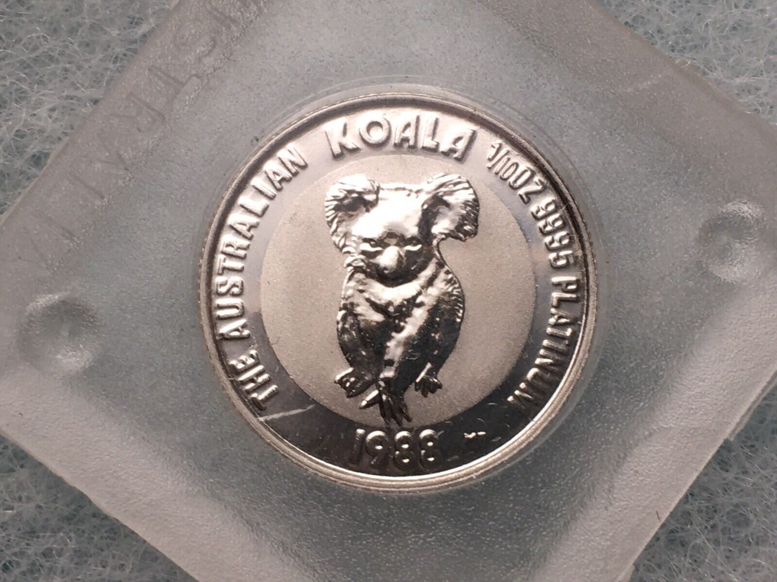 Australian Platinum Koalas