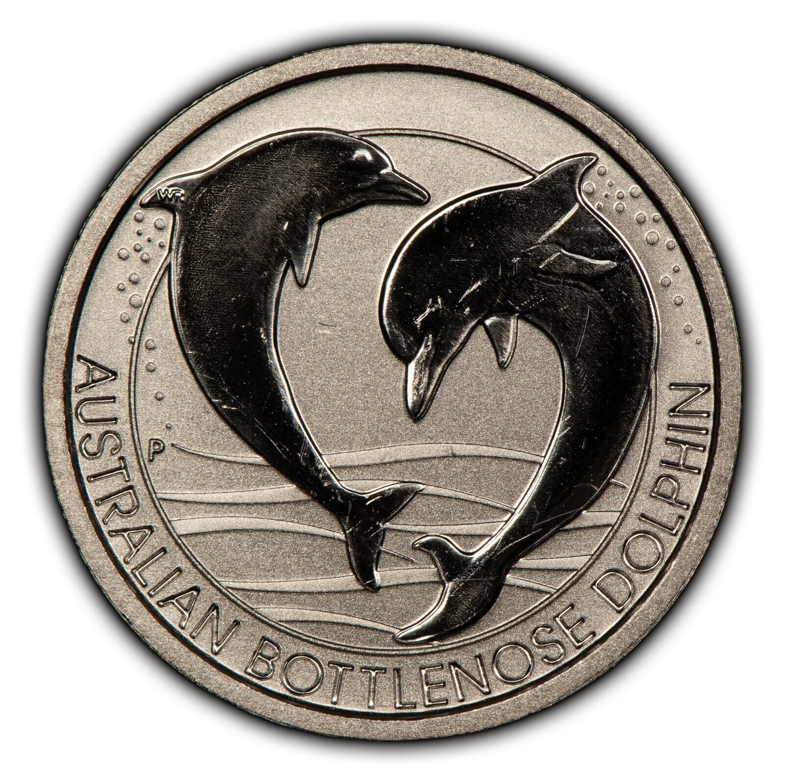 2019 Australian Bottlenose Dolphin Platinum Coin - Rare