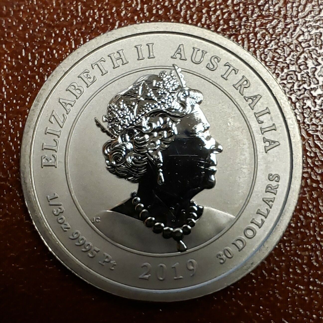 2019 Australian Bottlenose Dolphin Platinum Coin - Rare