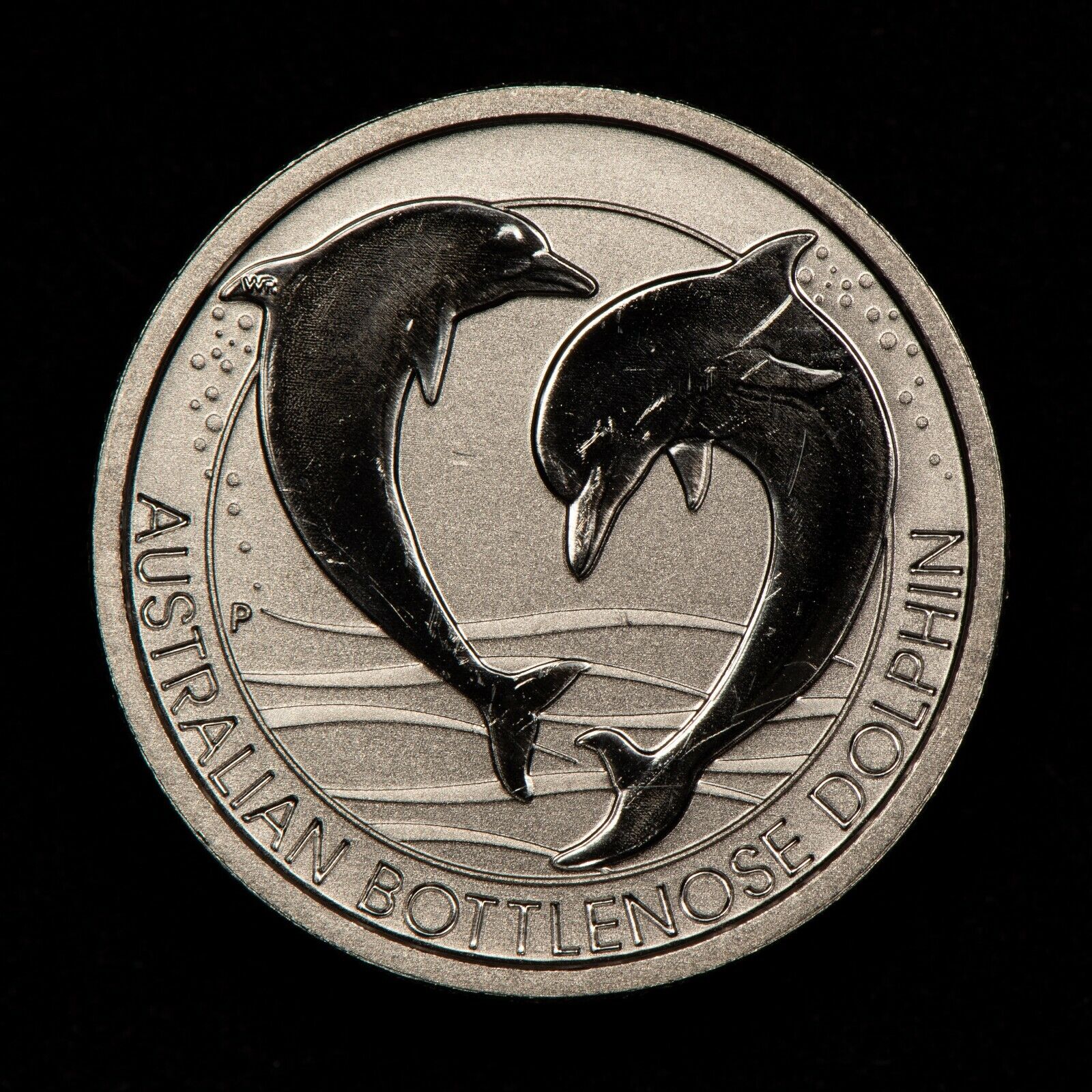 2019 Australian Bottlenose Dolphin Platinum Coin - Rare