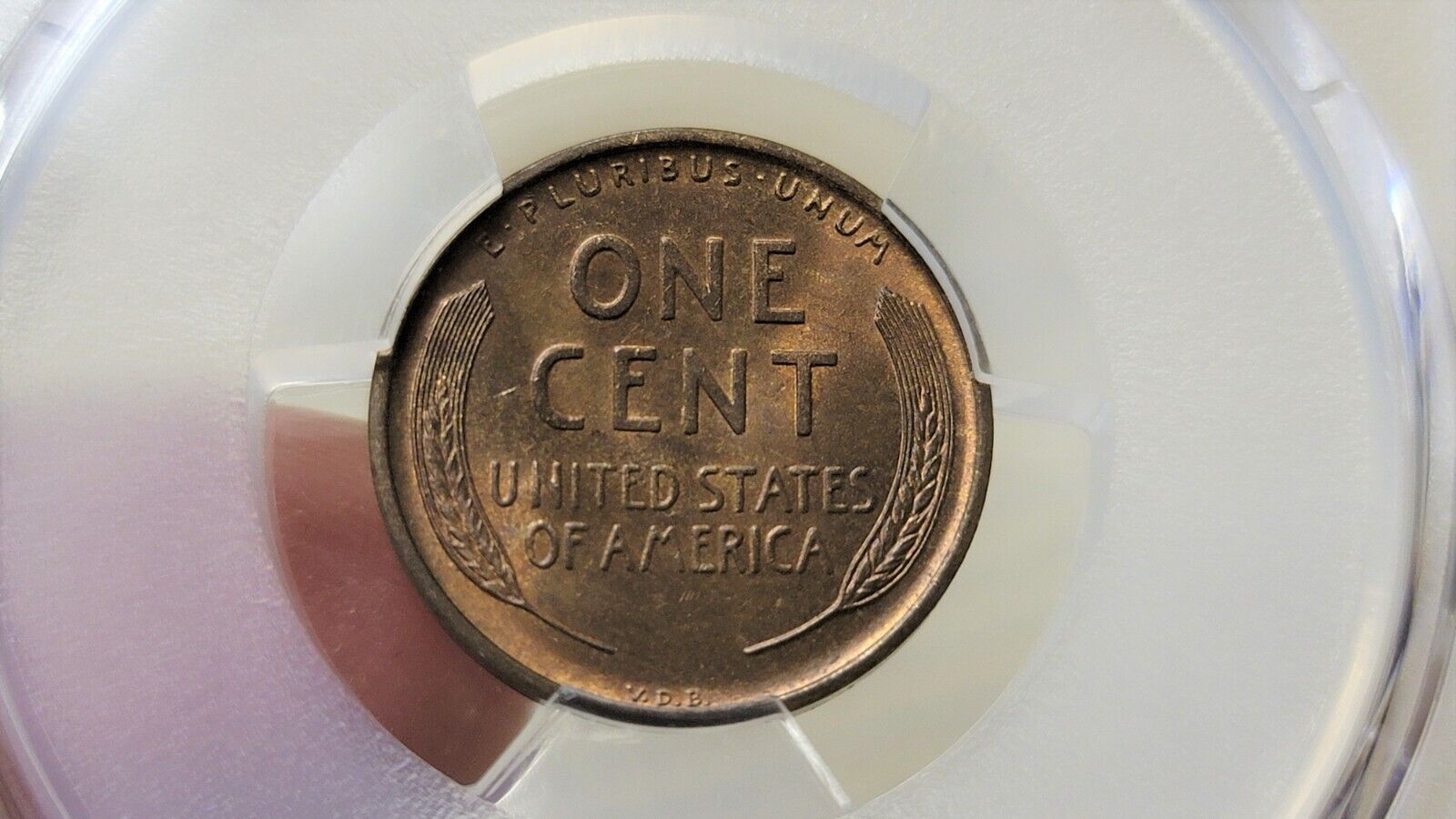 1909 S V.D.B Lincoln Wheat Cent 64 BN
