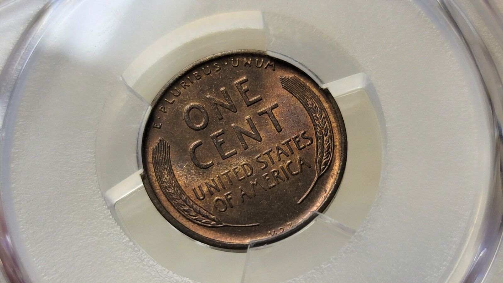 1909 S V.D.B Lincoln Wheat Cent 64 BN