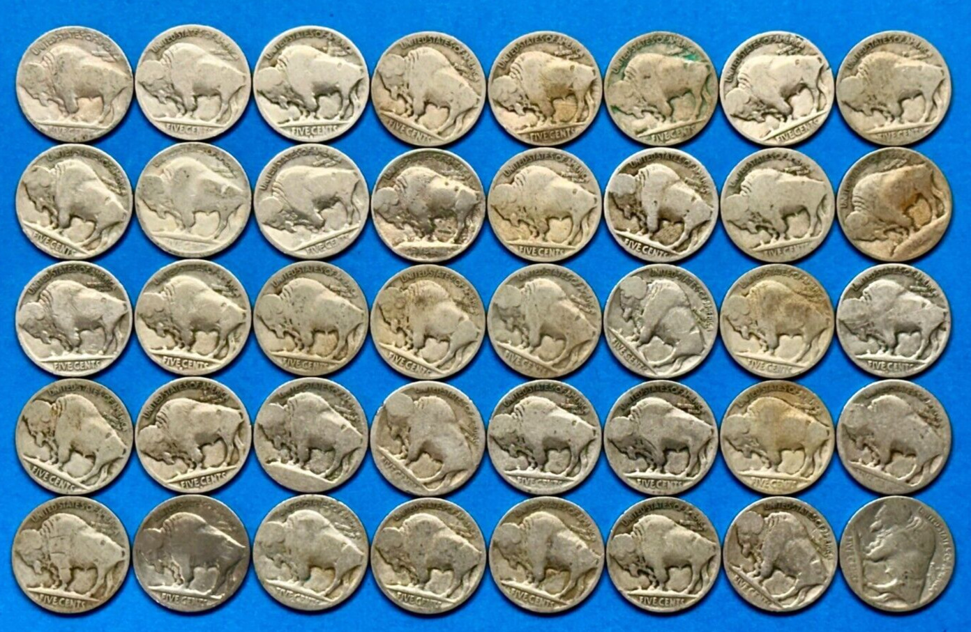 Buffalo Nickels Roll of 40 Vintage Collectible Coins