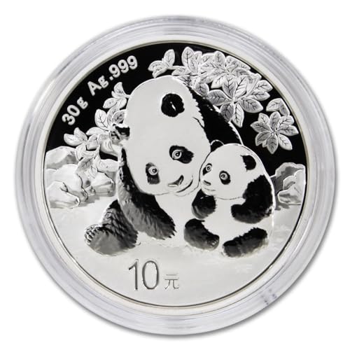 2024 Silver Chinese Panda Coin 30g with COA