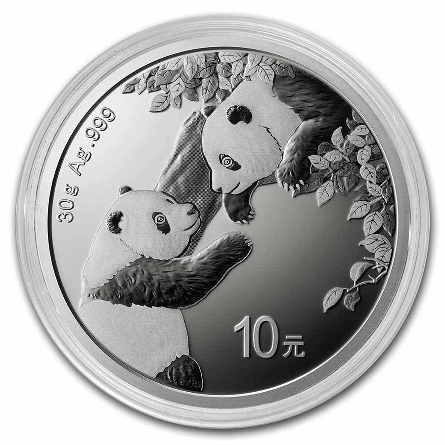 2023 30 g Silver Panda ¥10 Coin BU
