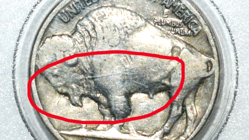 1937 Wounded Buffalo Nickel Coin Error Multi Spears