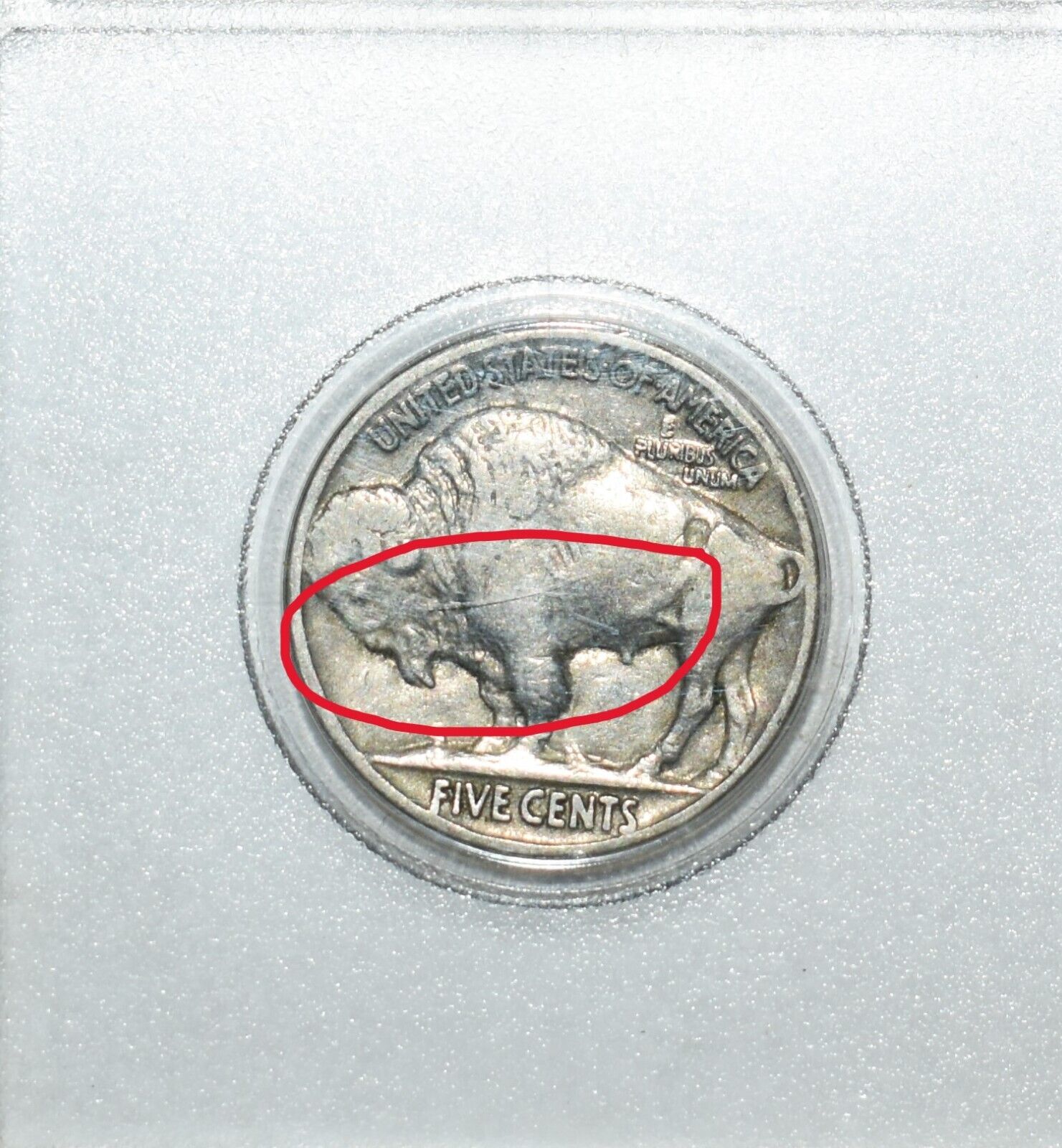 1937 Wounded Buffalo Nickel Coin Error Multi Spears