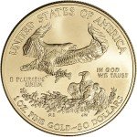 American Gold Eagle Coin - 1 oz, $50 Face Value
