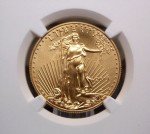 2017 $25 American Gold Eagle 1/2oz Coin