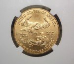2017 $25 American Gold Eagle 1/2oz Coin