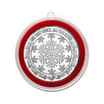 2023 30 g Silver Panda ¥10 Coin BU