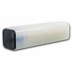 2025 1/10 oz American Gold Eagle Coin