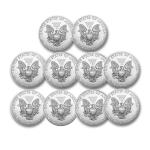 10 oz American Silver Eagle Coins - Random Year