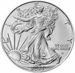 2024 American Silver Eagle 1 oz Coin